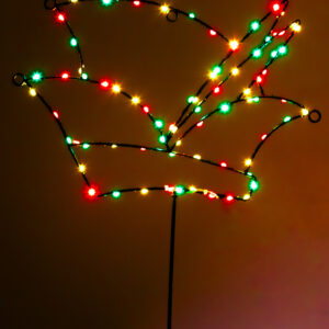 Verlichte Prinsensteek