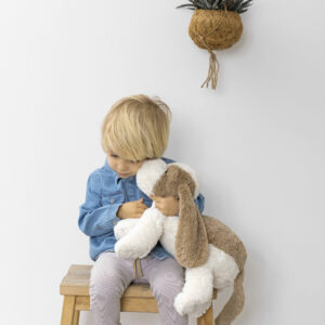 Happy Horse Dog David