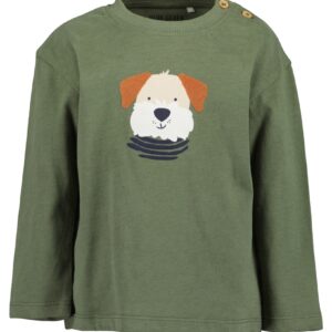 Blue Seven Shirt Dog